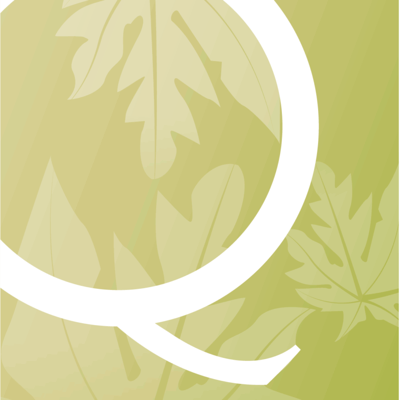 QA_LOGO TIÊU CHUÂN